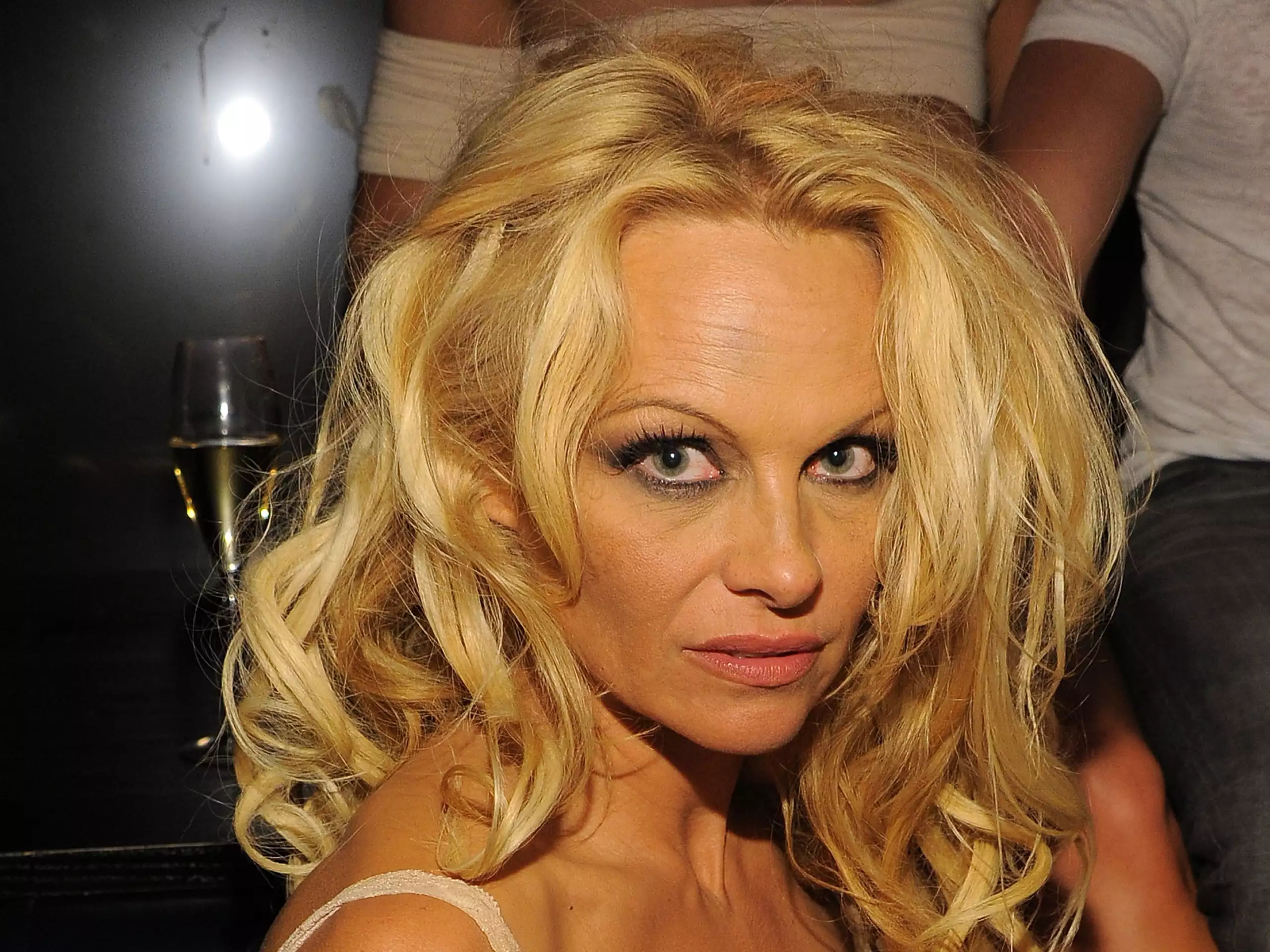 Pamela Anderson Birthday Party.