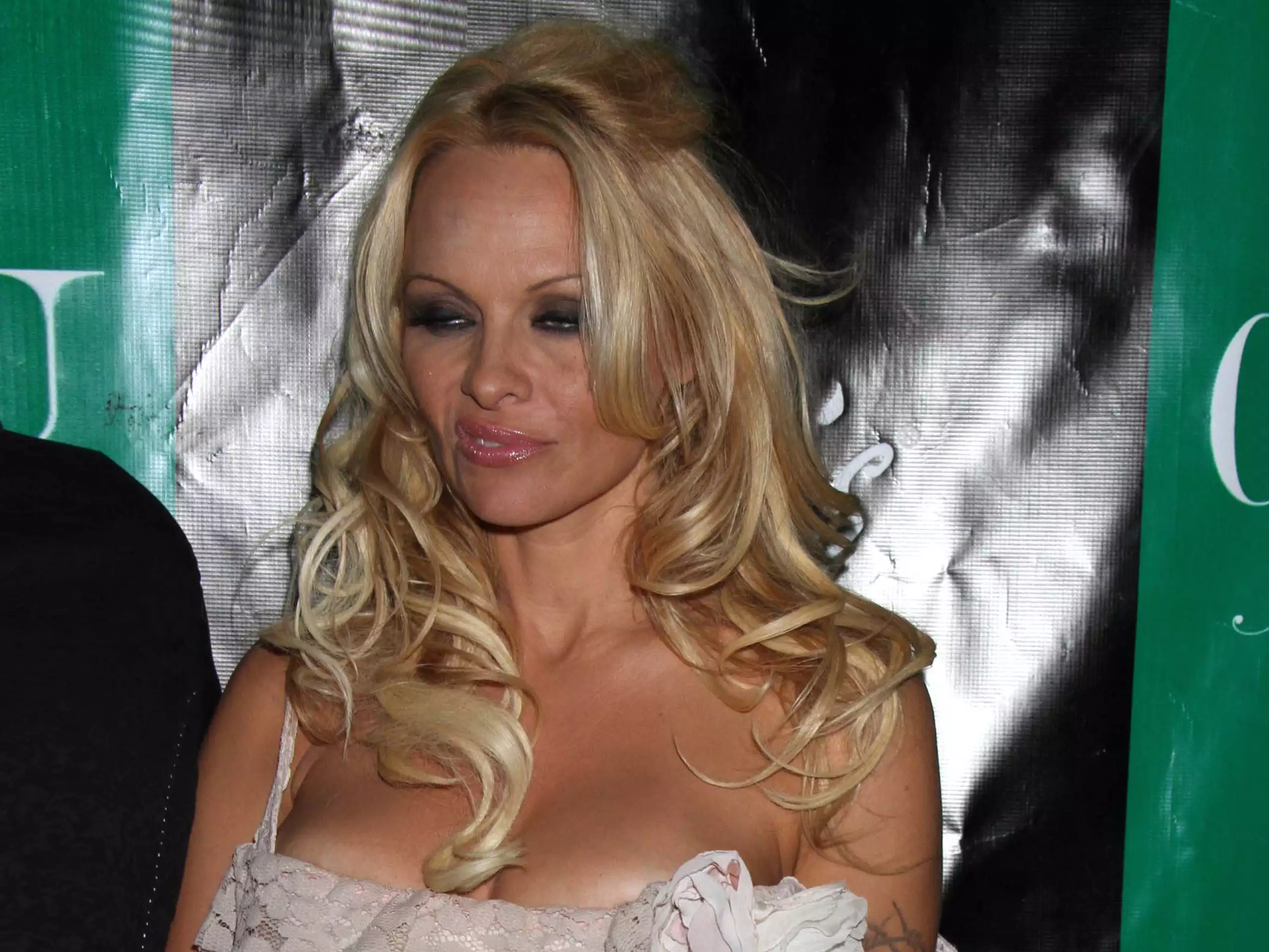 Pamela Anderson Birthday Party.
